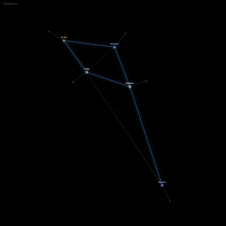 Delphinus component diagram